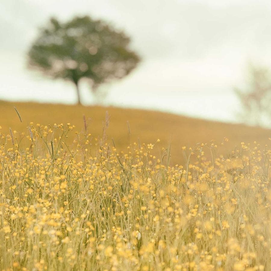 Minimalist Genç Odası 8 — 2
