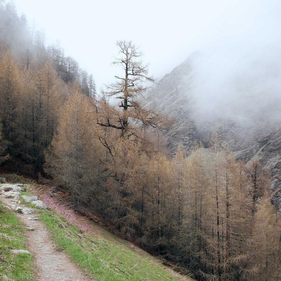 Avangarde Koltuk & Oturma 18 — 1